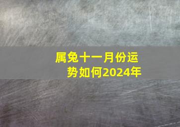 属兔十一月份运势如何2024年