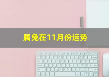 属兔在11月份运势