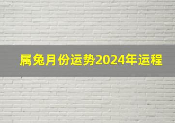 属兔月份运势2024年运程