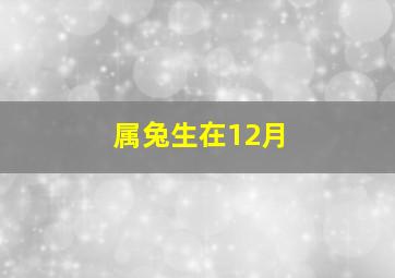 属兔生在12月