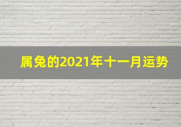 属兔的2021年十一月运势