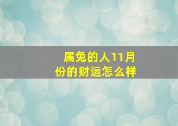 属兔的人11月份的财运怎么样