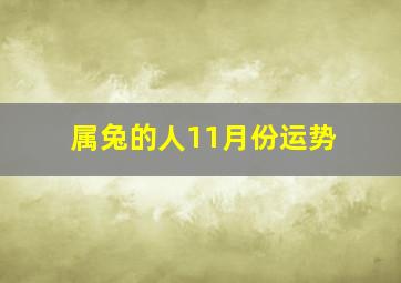 属兔的人11月份运势