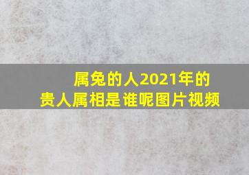 属兔的人2021年的贵人属相是谁呢图片视频