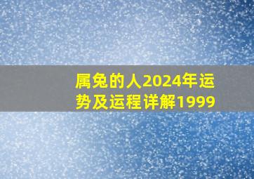 属兔的人2024年运势及运程详解1999