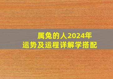 属兔的人2024年运势及运程详解学搭配