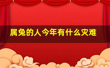 属兔的人今年有什么灾难