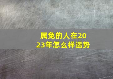 属兔的人在2023年怎么样运势