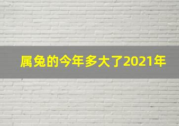 属兔的今年多大了2021年