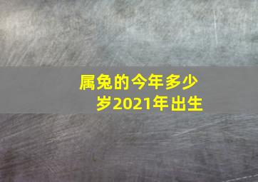 属兔的今年多少岁2021年出生