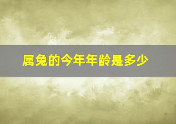 属兔的今年年龄是多少