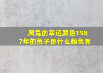 属兔的幸运颜色1987年的兔子是什么颜色呢