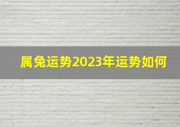 属兔运势2023年运势如何