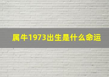 属牛1973出生是什么命运