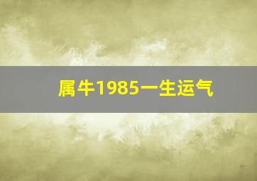 属牛1985一生运气