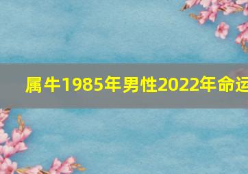 属牛1985年男性2022年命运