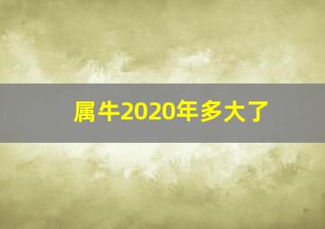 属牛2020年多大了