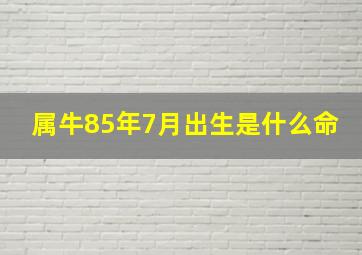 属牛85年7月出生是什么命