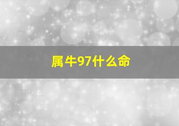 属牛97什么命