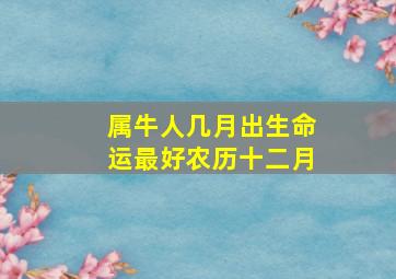 属牛人几月出生命运最好农历十二月