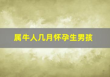 属牛人几月怀孕生男孩