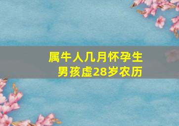 属牛人几月怀孕生男孩虚28岁农历