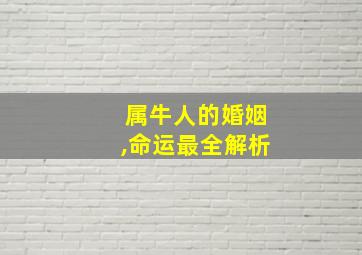 属牛人的婚姻,命运最全解析