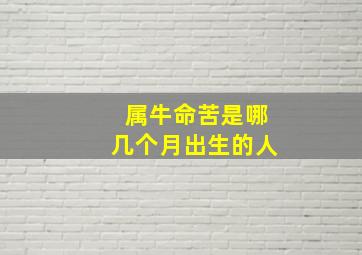 属牛命苦是哪几个月出生的人