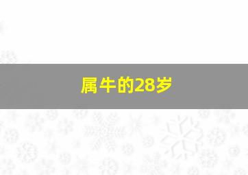 属牛的28岁