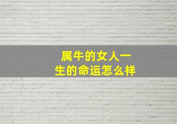 属牛的女人一生的命运怎么样