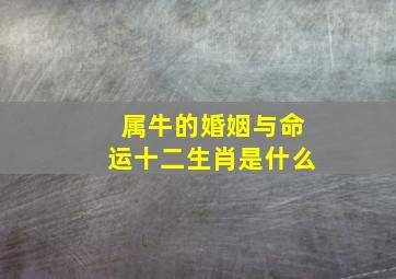 属牛的婚姻与命运十二生肖是什么