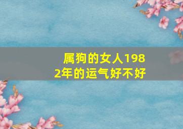 属狗的女人1982年的运气好不好