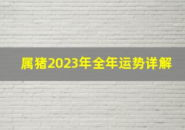 属猪2023年全年运势详解