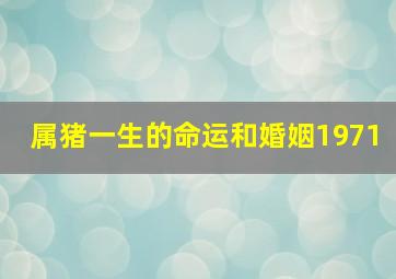 属猪一生的命运和婚姻1971