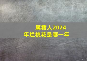 属猪人2024年烂桃花是哪一年