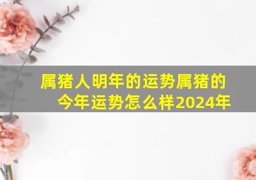 属猪人明年的运势属猪的今年运势怎么样2024年