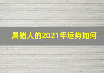 属猪人的2021年运势如何