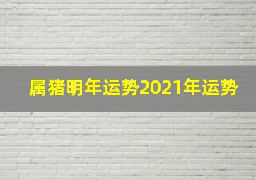 属猪明年运势2021年运势