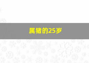 属猪的25岁