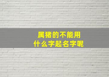 属猪的不能用什么字起名字呢