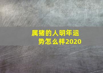 属猪的人明年运势怎么样2020