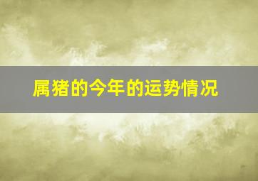 属猪的今年的运势情况