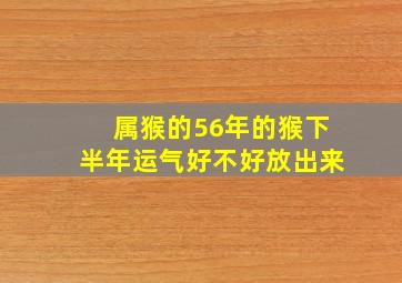 属猴的56年的猴下半年运气好不好放出来