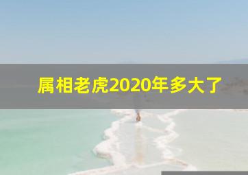 属相老虎2020年多大了