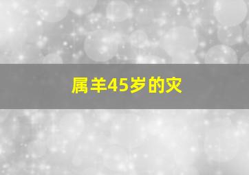 属羊45岁的灾