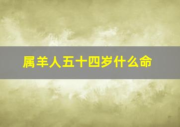 属羊人五十四岁什么命