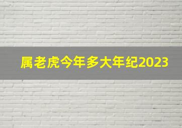 属老虎今年多大年纪2023