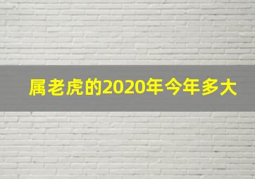 属老虎的2020年今年多大