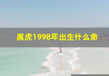 属虎1998年出生什么命