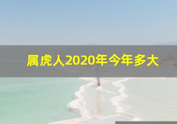 属虎人2020年今年多大